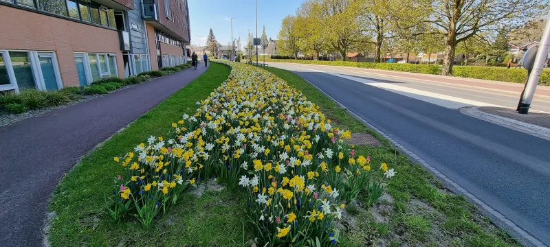 Vianen — foto 8