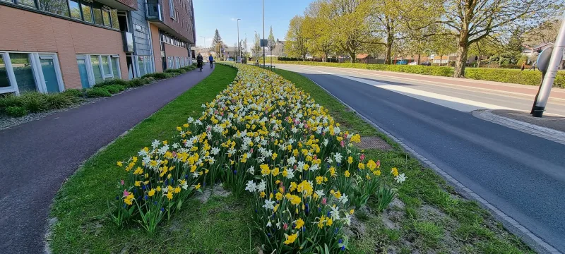 Vianen
