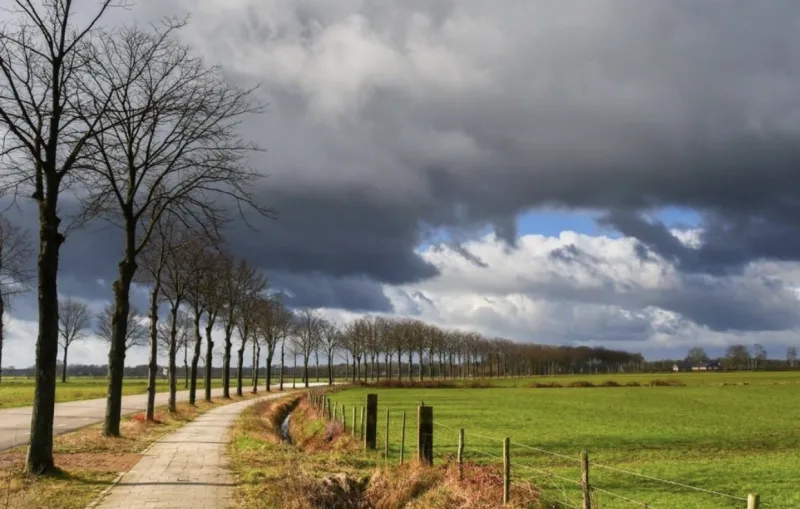 Weert