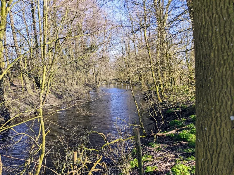 Winsum