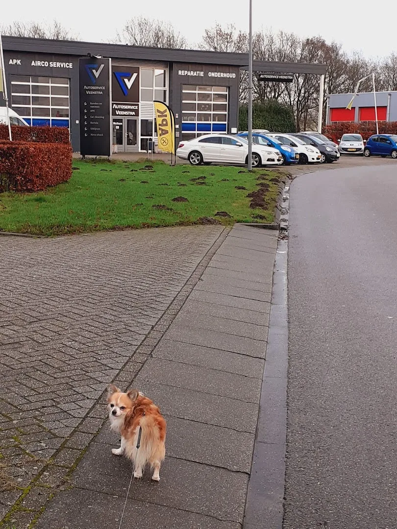 Venstra Emmen — foto 6