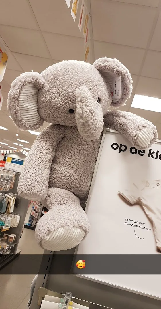 HEMA Roosendaal — foto 8