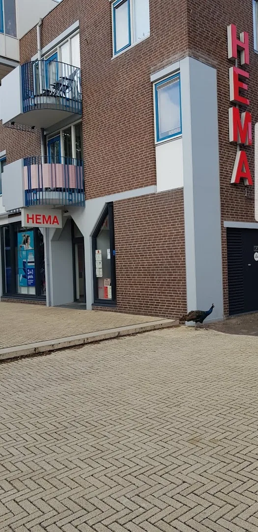 HEMA Sassenheim — foto 10