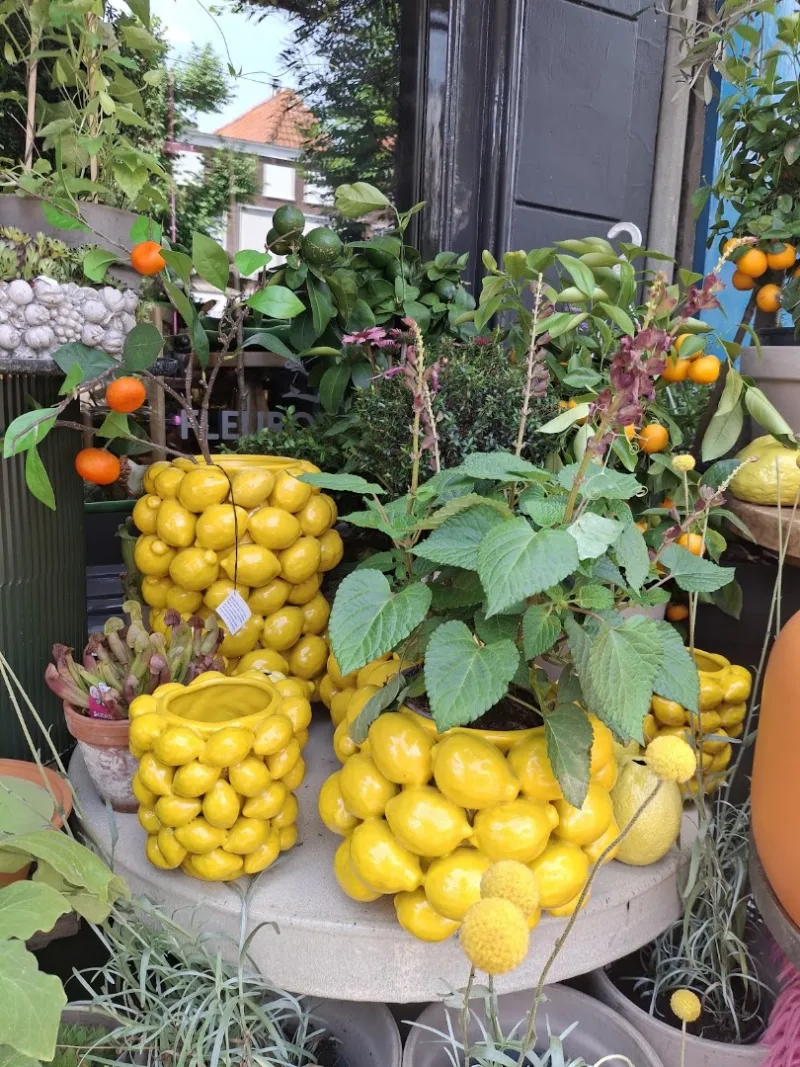 HEMA Schoonhoven — foto 8