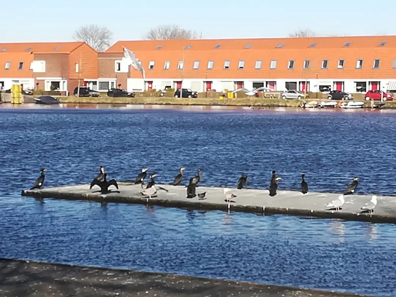 HEMA Zaandam — foto 7