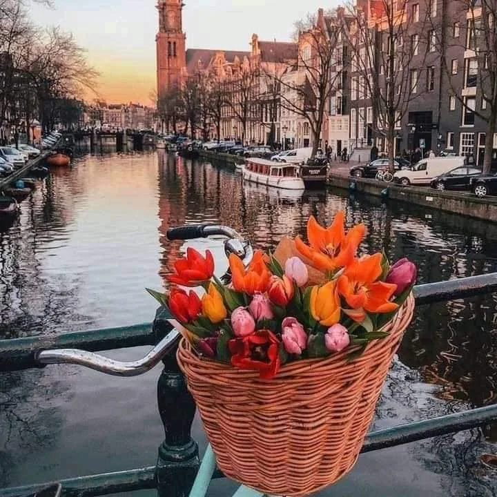 Amsterdam — foto 8