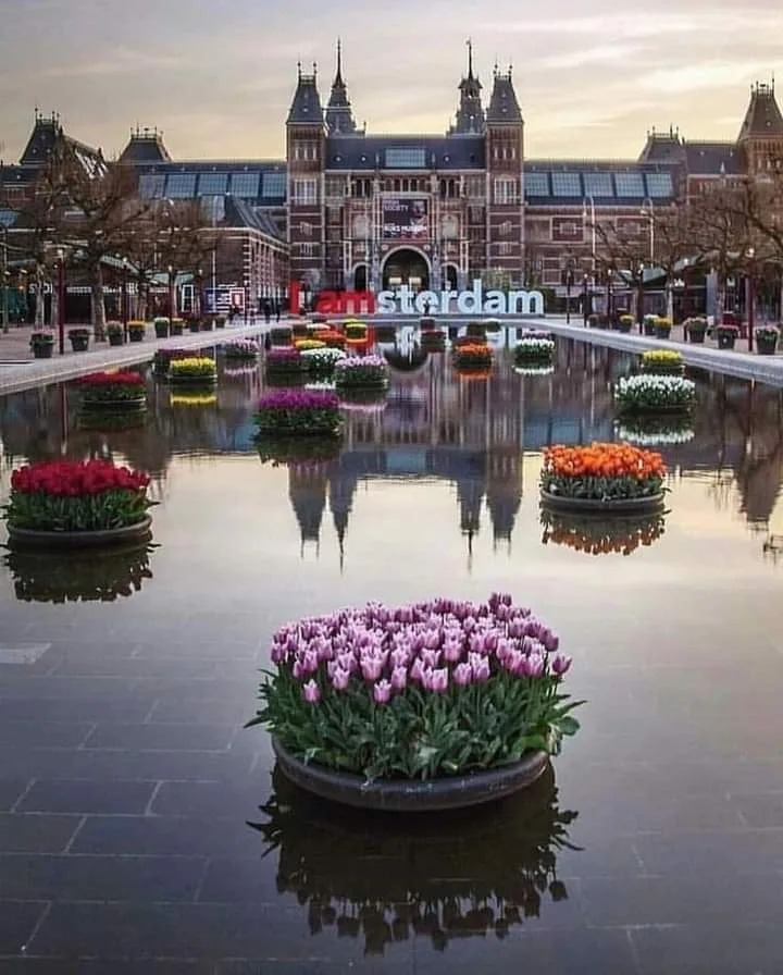 Goossens Amsterdam — foto 8