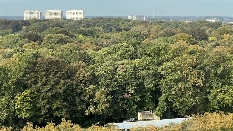 Goossens Antwerpen-Wilrijk — foto 7