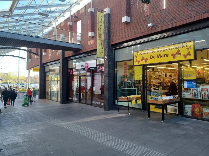 Xenos Alkmaar De Mare — foto 1