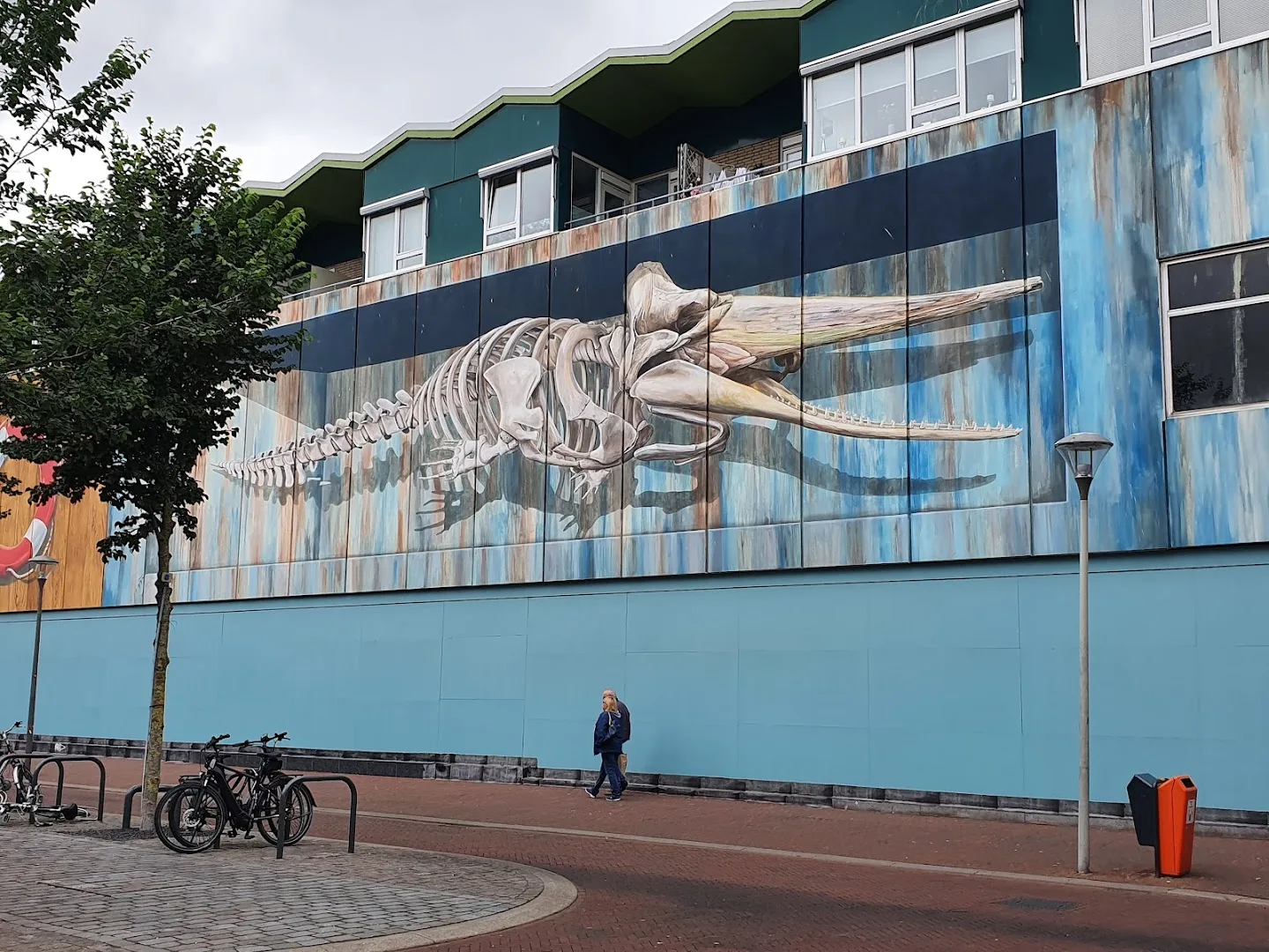 Xenos Den Helder — foto 7