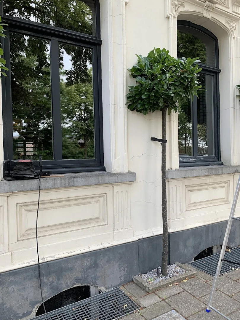 De Verfzaak Venlo — foto 4